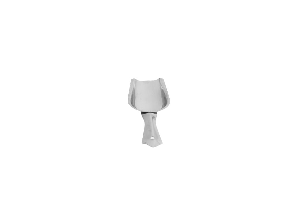 Stainless Ice Scoop