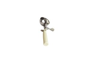 Ice Cream Scoop