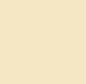 Poly Beige