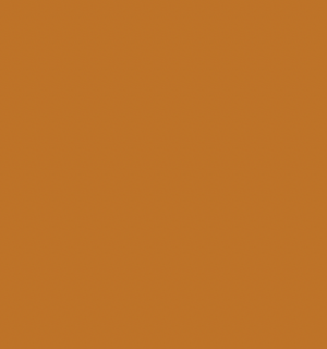Poly Burnt Orange