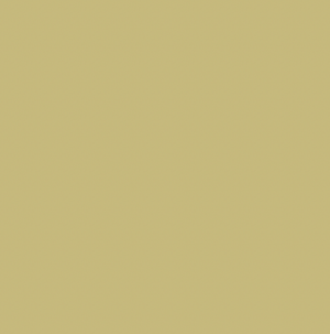 Poly Khaki