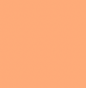Poly Shrimp