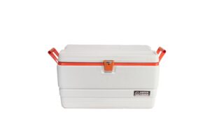 White Ice Chest