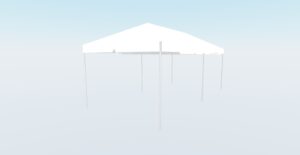 10' x 30' White Top*