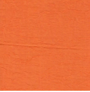 Dazzle Mango